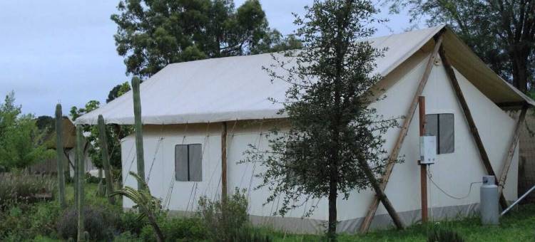 萨尔特拉豪华露营(Salterra Glamping)图片