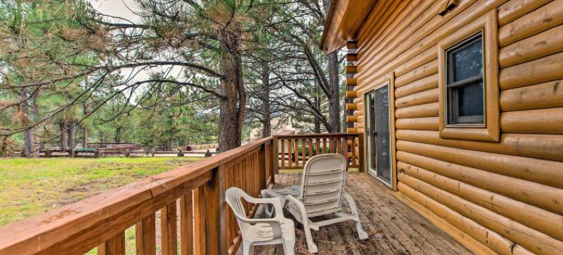 距滑雪缆车3个街区：天使之火巴士路线小屋(3 Blks to Ski Lift Angel Fire Cabin on Bus Rt)图片