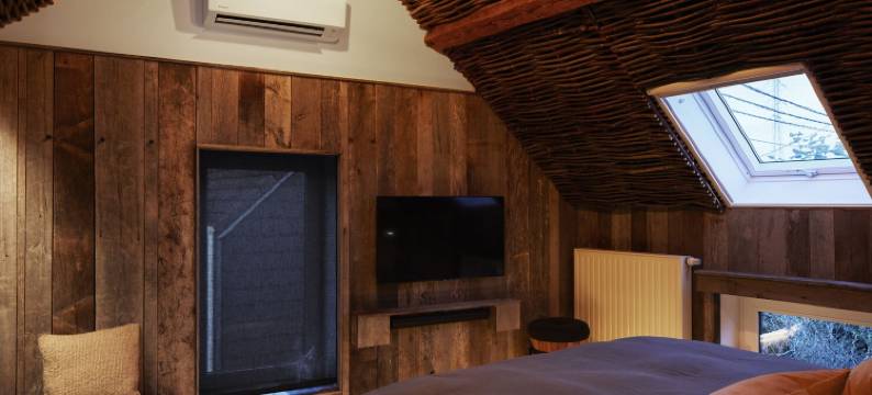 查理132(Charly 132)图片