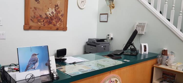 乡村旅馆(Countryside Inn)图片