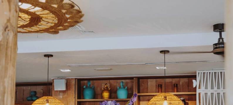 伊比莎岛原住民酒店(Nativo Hotel Ibiza)图片