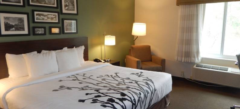 自由广场I-65附近舒眠套房酒店(Sleep Inn & Suites Near Liberty Place I-65)图片