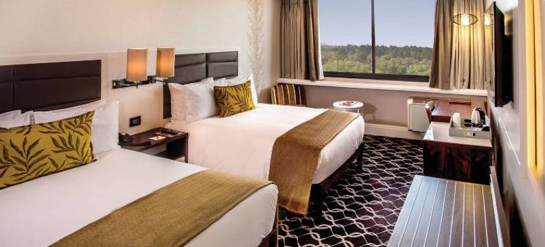 河边阳光(Riverside Sun)图片