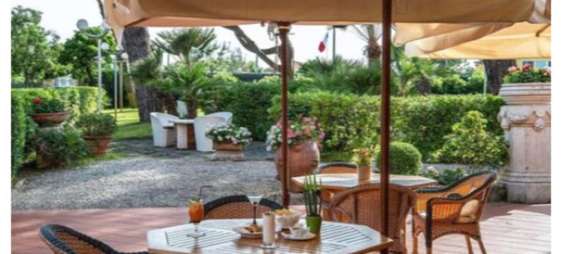 韦西利亚宫殿酒店(Versilia Palace Hotel)图片