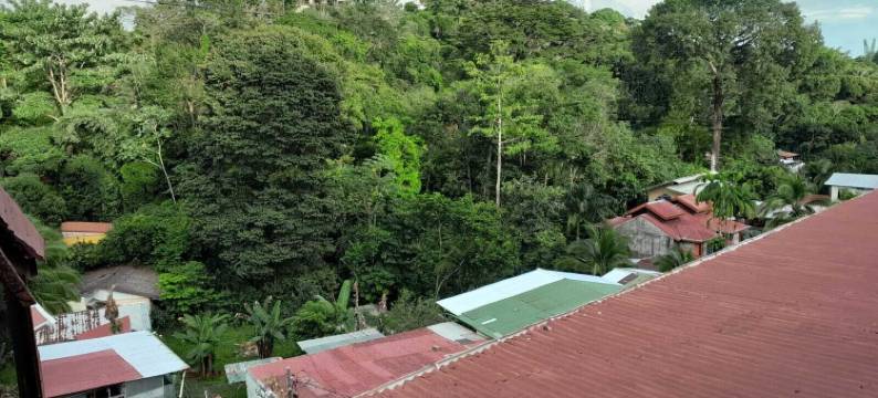 自然太平洋套房饭店(Natural Pacific Suites)图片