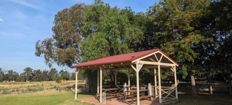 库多谷汽车旅馆(The Cudgee at Mudgee)图片