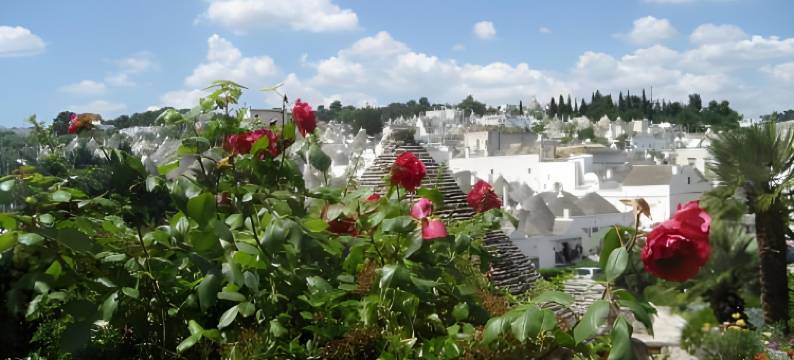 特鲁利普利亚度假旅馆(Trulli e Puglia Resort)图片