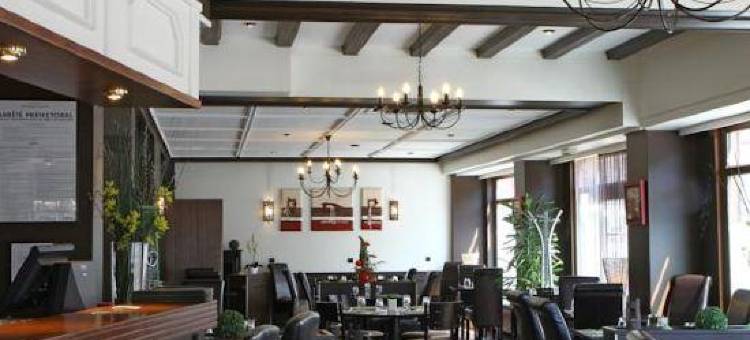 昌浦艾尔萨斯中心酒店(Hotel Champ Alsace)图片