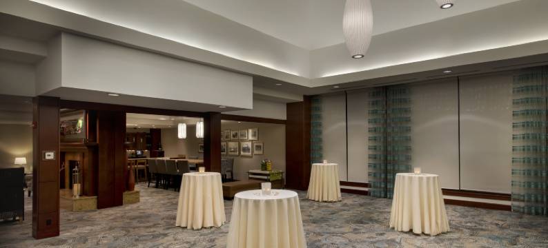 希尔顿花园奥尔巴尼医学中心酒店(Hilton Garden Inn Albany Medical Center)图片