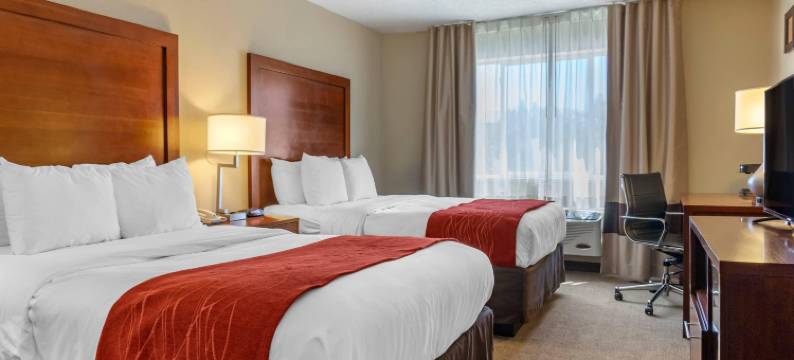 阿尔伯克基机场舒适酒店(Comfort Inn Albuquerque Airport)图片