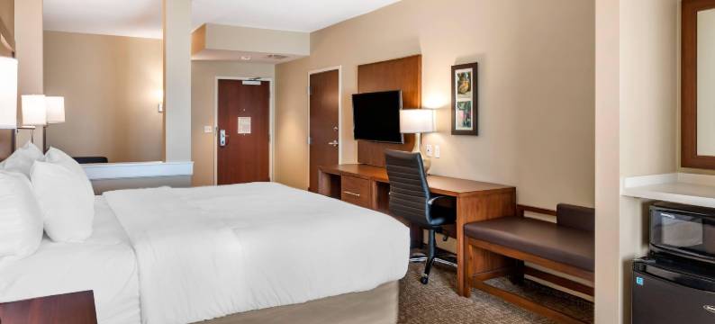 舒适套房酒店(Comfort Inn & Suites)图片