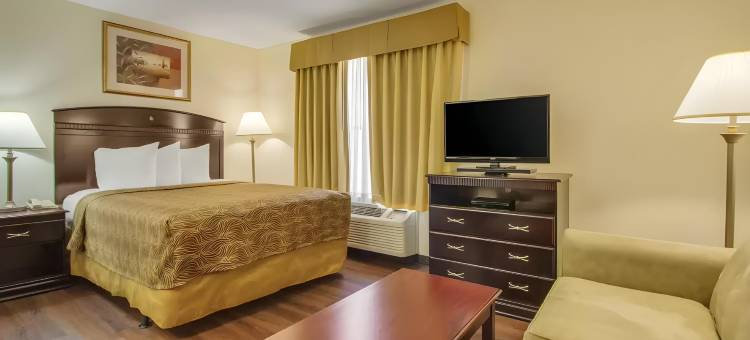 德克萨斯医学中心/雷莱恩公园美茵斯坦套房酒店(MainStay Suites Texas Medical Center/Reliant Park)图片