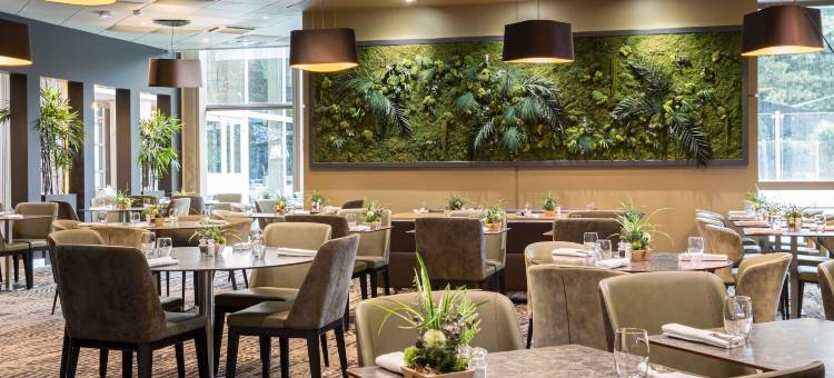 宜必思里昂杰兰汇流博物馆酒店(Ibis Lyon Gerland Musée des Confluences)图片