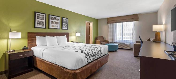 舒眠套房酒店(Sleep Inn & Suites Columbia)图片