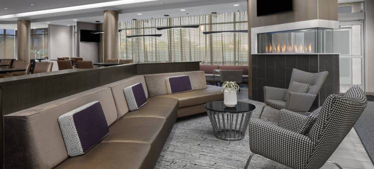 SpringHill套房由万豪酒店 东拉瑟福德梅多兰/卡尔斯塔特(SpringHill Suites East Rutherford Meadowlands/Carlstadt)图片