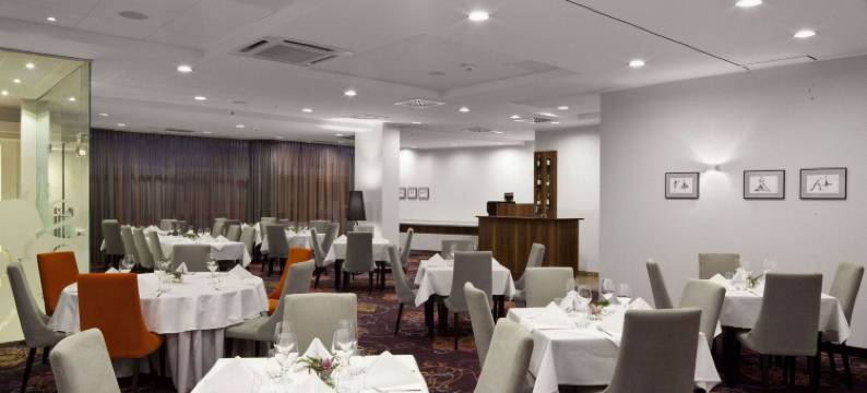 维特考斯基酒店(Hotel Witkowski Warsaw Airport)图片