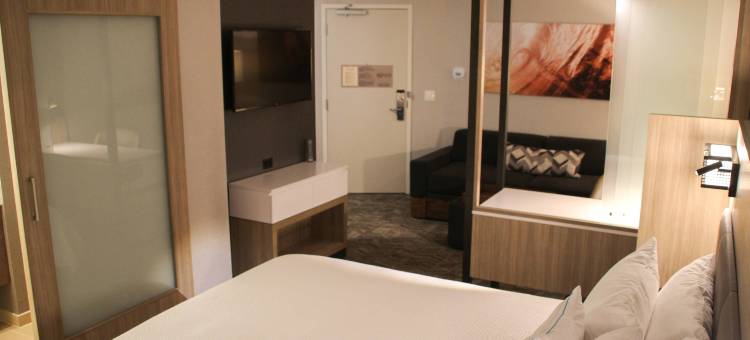 巴尔的摩白沼泽中河SpringHill Suites酒店(SpringHill Suites Baltimore White Marsh/Middle River)图片