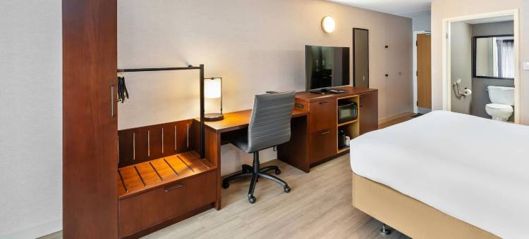 舒适酒店-东区(Comfort Inn East)图片