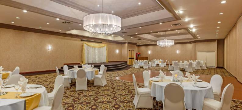 凯艺会议中心酒店(Quality Inn & Conference Centre)图片