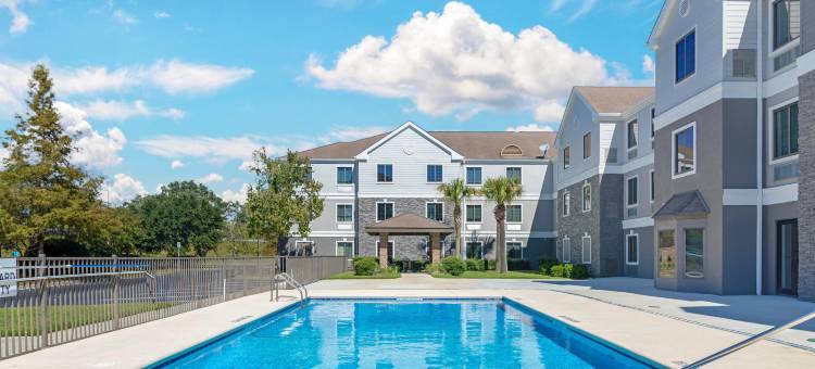 舒适酒店及套房(Comfort Inn & Suites)图片