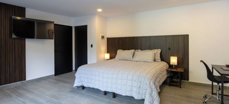 墨西哥城中心的豪华客房 - 房间 B2(Luxurious Room in Heart of Ciudad de México - Room B2)图片