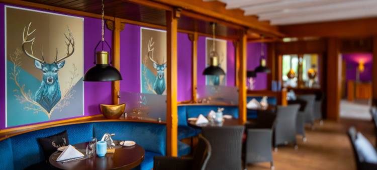 瓦尔德酒店熊石(Waldhotel Bärenstein)图片