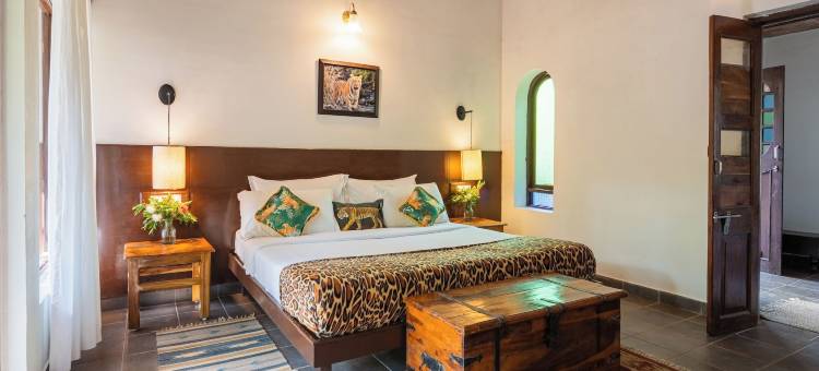 马胡阿托拉塔多巴(Mahua Tola Tadoba)图片