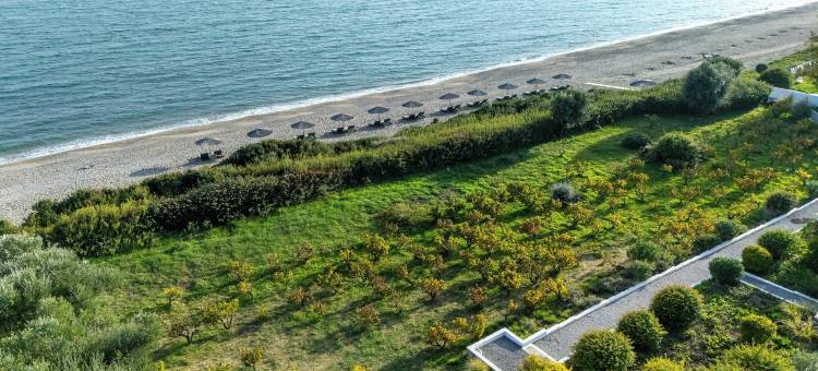 尼瑞德斯别墅(Niriides Resort)图片
