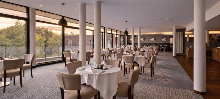 Santé Royale健康度假酒店与巴德朗根扎桑健康度假村(Sante Royale Hotel- & Gesundheitsresort Bad Langensalza)图片