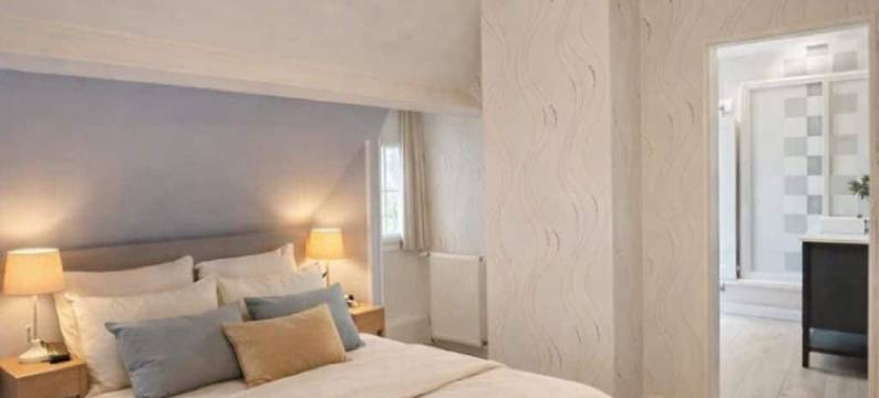 巴亚迪尼酒店(La Bayardine)图片