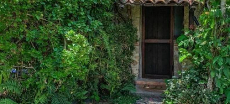 瓜穆奇尔之家(La Casa del Guamúchil)图片