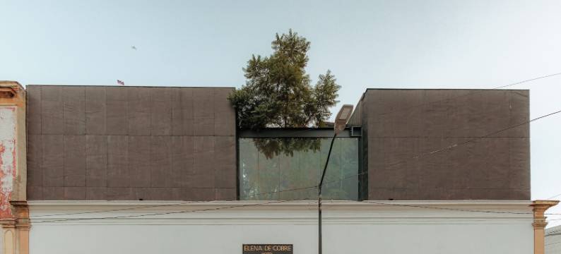 莱昂柯布艾琳娜酒店 - 设计酒店会员(Elena de Cobre, Leon, a Member of Design Hotels)图片