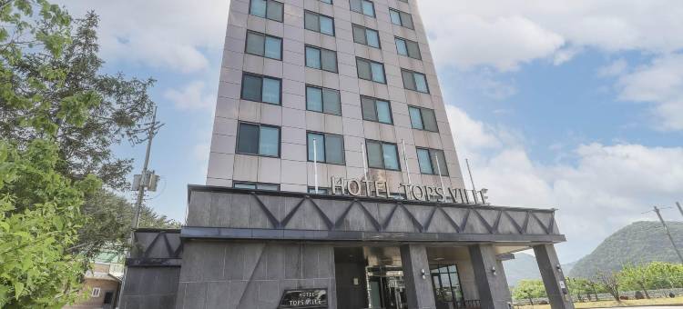 托普斯维尔酒店(Hotel TopsVille)图片