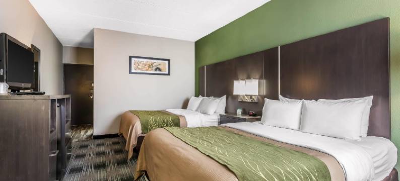 克里夫兰机场舒适酒店(Comfort Inn Cleveland Airport)图片