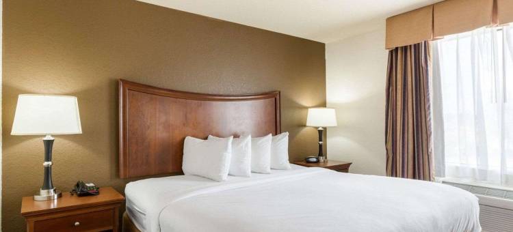 品质套房酒店亨茨维尔大学附近(Quality Suites Huntsville Near University)图片