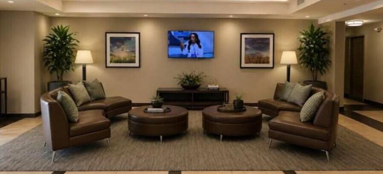 Candlewood Suites 圣安东尼奥机场 IHG酒店(Candlewood Suites SAN ANTONIO AIRPORT by IHG)图片