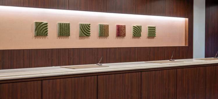 奈良橿原美爵酒店(Grand Mercure Nara Kashihara)图片