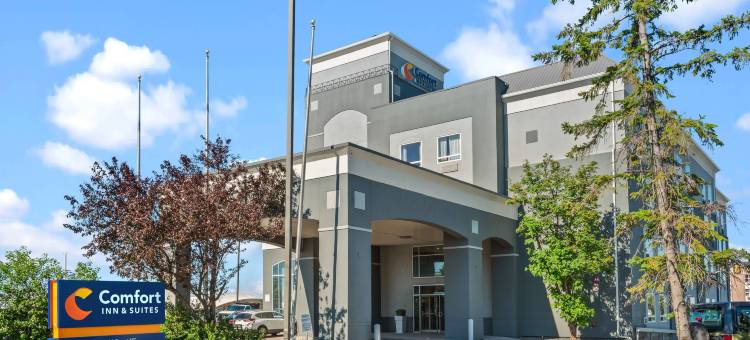 舒适套房酒店南机场店(Comfort Inn & Suites Airport South)图片