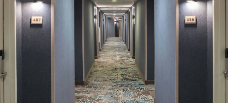 万豪新奥尔良仓库艺术区SpringHill套房(SpringHill Suites New Orleans Warehouse Arts District)图片