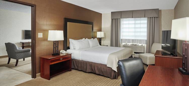 Holiday Inn & Suites 芝加哥罗斯奇姆(惠顿)(Holiday Inn & Suites CHICAGO-CAROL STREAM (WHEATON) by IHG)图片
