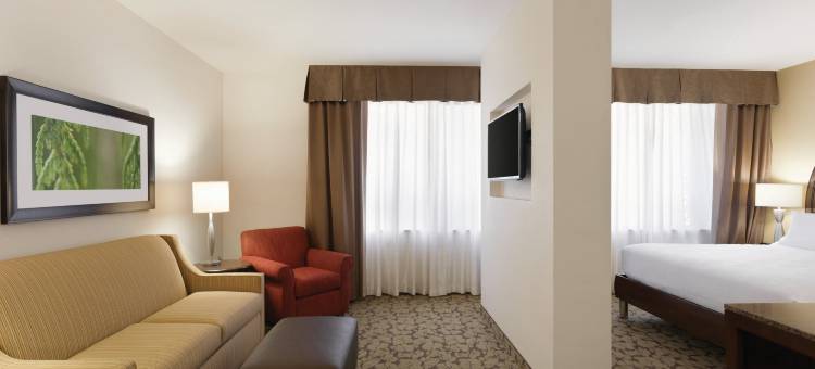 希尔顿花园酒店-罗切斯特市区(Hilton Garden Inn Rochester-Downtown)图片