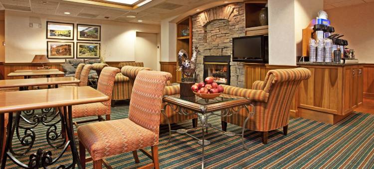 智选假日套房酒店康诺弗(HICKORY区)(Holiday Inn Express & Suites Conover (Hickory Area))图片