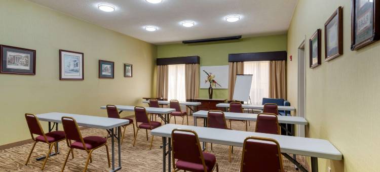 米利奇维尔舒适全套房酒店(Comfort Suites)图片