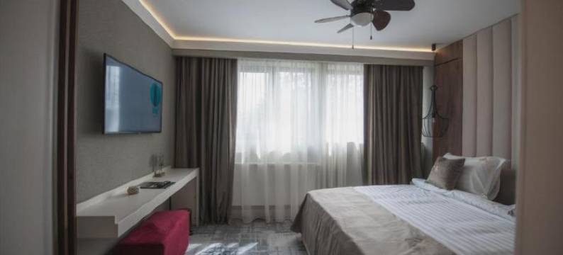 普雷代亚尔埃莱克萨斯精品酒店(Elexus Boutique)图片