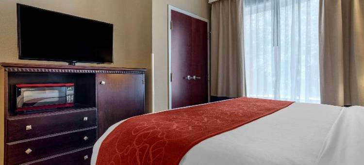 拜洛希海洋温泉舒适套房酒店(Comfort Suites Biloxi/Ocean Springs)图片