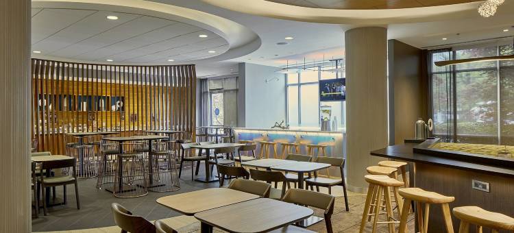 亚特兰大关口机场万豪SpringHill酒店(SpringHill Suites Atlanta Airport Gateway)图片