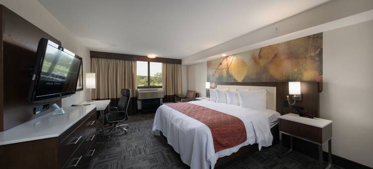 IHG假日酒店密尔沃基布鲁克菲尔德(Holiday Inn Brookfield - ​​MILWAUKEE)图片