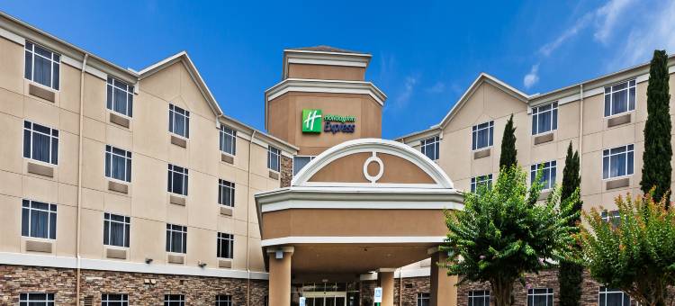 洲际酒店集团智选假日套房酒店休斯顿市中心会议中心(Holiday Inn Express & Suites Houston-Dwtn Conv Ctr)图片