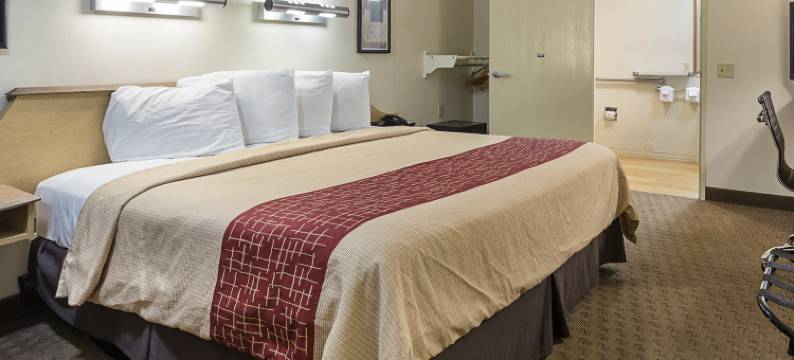 孟菲斯东红顶酒店(Red Roof Inn Memphis East)图片