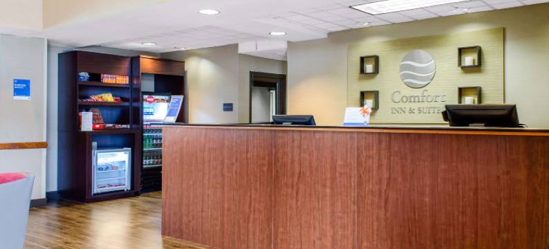 比洛西克-蒂贝维尔舒适套房酒店(Comfort Inn & Suites Biloxi-d'Iberville)图片